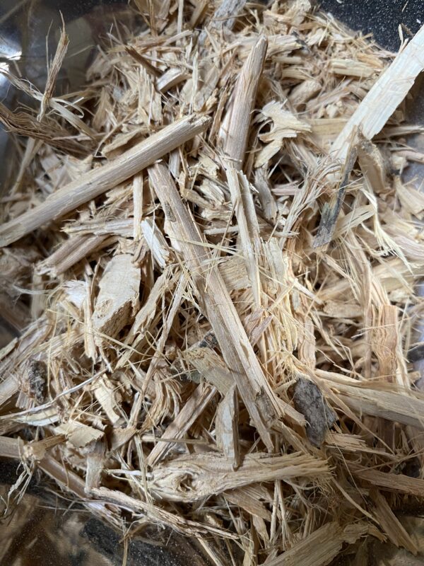Ajo Sacha Leaf & Vine || Mansoa alliacea - Image 4