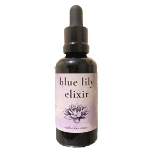 Blue Water Lily Tincture || Nymphaea caerulea 50mL