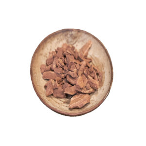 Chuchuwasi Tincture || Maytenus macrocarpa 50mL