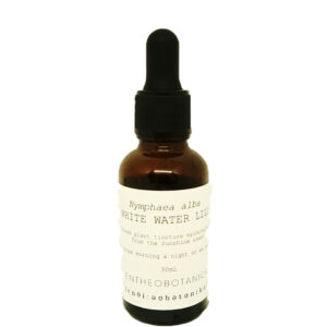 White Water Lily Tincture || Nymphaea alba