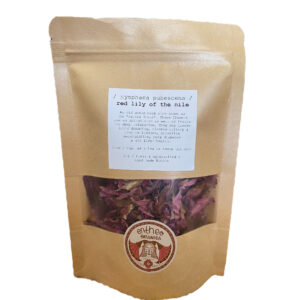 Red Lily of the Nile Dry Herb || Nymphaea pubescens