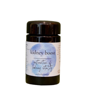 Kidney Boost || Restoration of Kidney Vitality