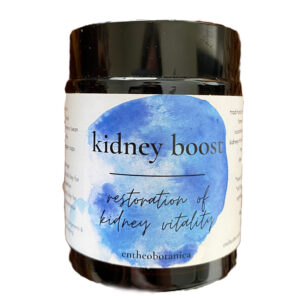Kidney Boost || Restoration of Kidney Vitality