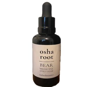 Osha-Root-Ligusticum-porteri-Bear-Root-50mL