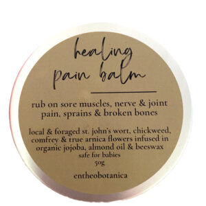 Healing Pain Balm || St. John's Wort || Chickweed || Arnica || Comfrey