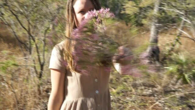 We love turkey bush from the top end! It's got an incredible aroma, and flowers in the dry season.
Native smudges that grow in inabundance from Australia's soils are a great alternative to rare overharvested overseas options. During dry season the pink flowers of Calytrix exstipulata, a Myrtaceae,  can be seen lighting the bush up with colour. It smells divine and keeps bugs at bay.

Here's a few reasons why to chose native aromatic plants like lemon myrtle,  lemon tea tree and eucalypt smudges:

- It connects us to our own soils & sense of belonging
- Wild foraging is a beautiul way to connect with our landscape, but we can't wild forage plants that don't grow here
- Native plants connect us to the culture that birthed from this landscape, allowing reverance and respect for the old ways of lore and the story of the medicine
- Natives connect us to the season's that we live in, they aren't abstract they are relevant
- Natives share our land so they tackle the same problems we are dealing with on the day to day

#entheobotanica #turkeybush  #nativeplants #bushmedicine #australianmedicine #smudge #rebelherbal