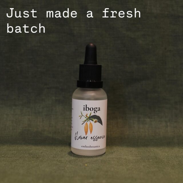 Jump onto the shop to try it out :)
#iboga #floweressence #rebelherbal #entheobotanica
