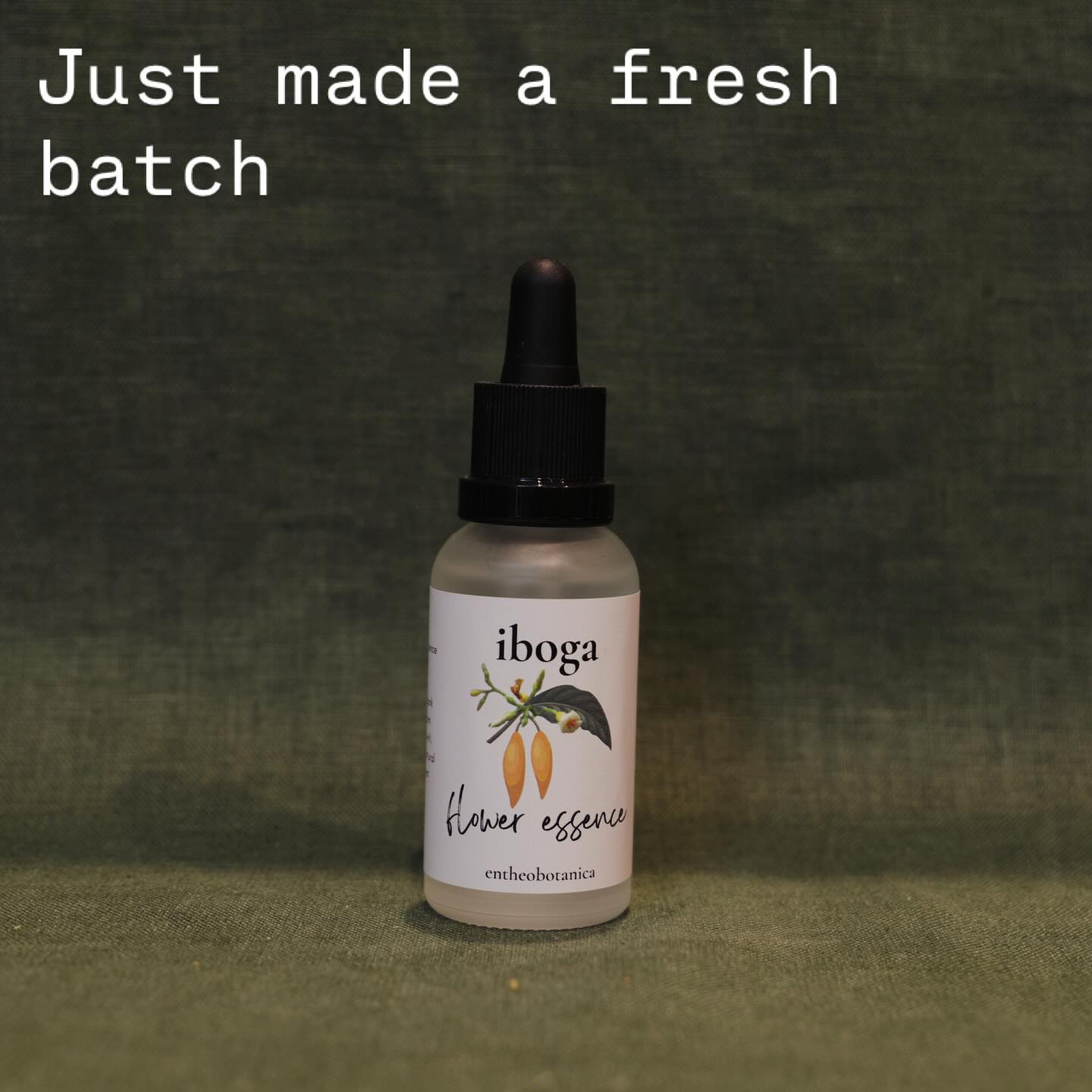 Jump onto the shop to try it out :)
#iboga #floweressence #rebelherbal #entheobotanica