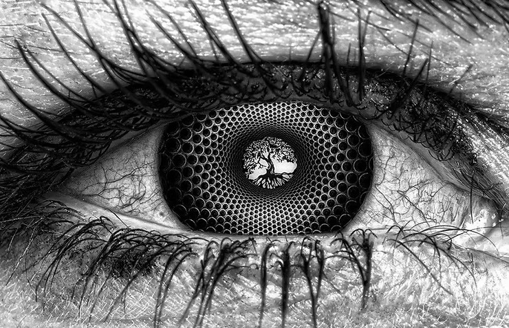 I’m going to Gabon!