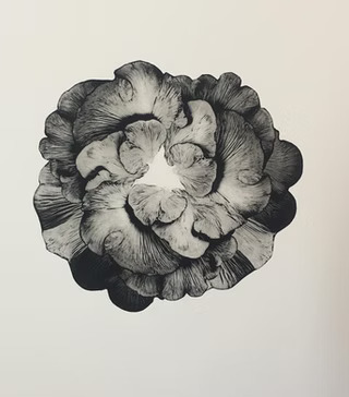 Integrate & prepare yourself for plant ceremonies