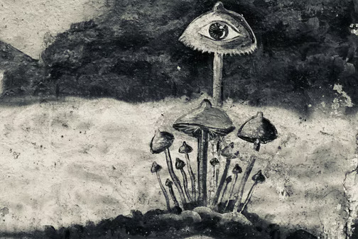 Part One : Eating mushrooms Mazatec style