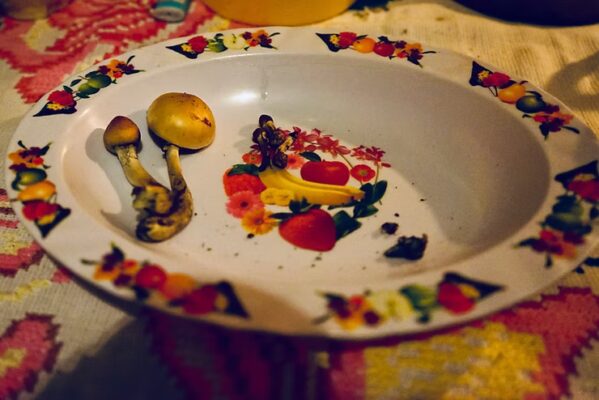 Part Two : Eating mushrooms Mazatec style