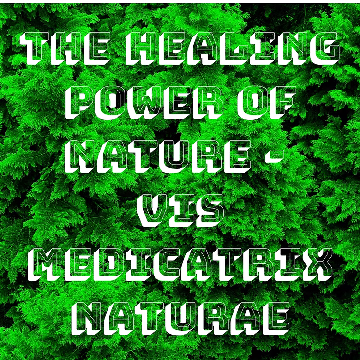 The Healing Power of Nature – Vis Medicatrix Naturae
