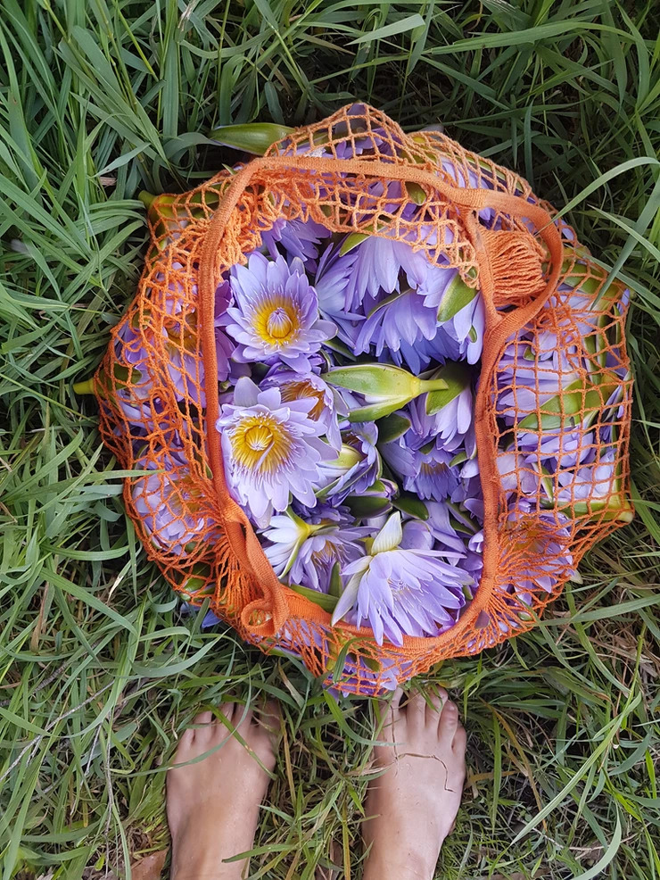 The Water Nympth to cleanse hearts