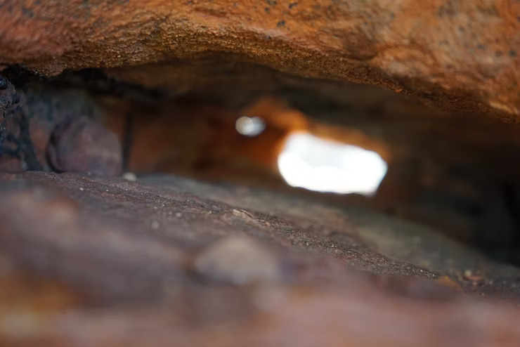 Where do Entheogens fit into the medicine cabinet?