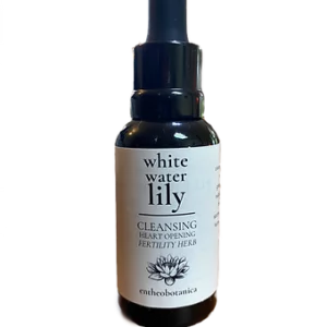 White Water Lily Tincture || Nymphaea alba 50mL