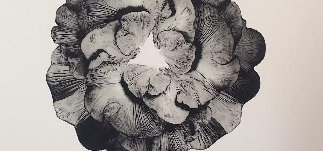 Integrate & prepare yourself for plant ceremonies