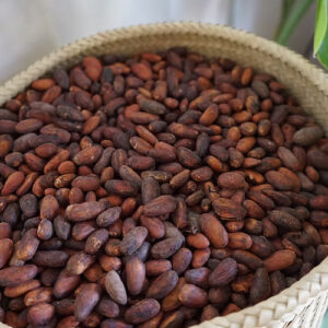 Ceremonial Cacao Paste Chiapas || Mexican Heirloom Cacao || Theobroma cacao 150g