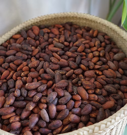 Ceremonial Cacao Paste Chiapas || Mexican Heirloom Cacao || Theobroma cacao 150g