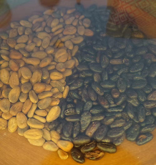 Ceremonial Cacao Paste Chiapas || Mexican Heirloom Cacao || Theobroma cacao 150g - Image 4